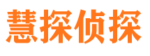 贾汪侦探公司